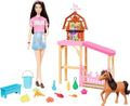 Barbie The Great Horse Chase Doll Playset