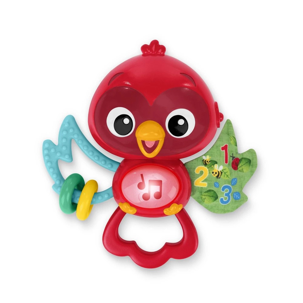 Baby Einstein Roxy’s Bright Flight Musical Toy