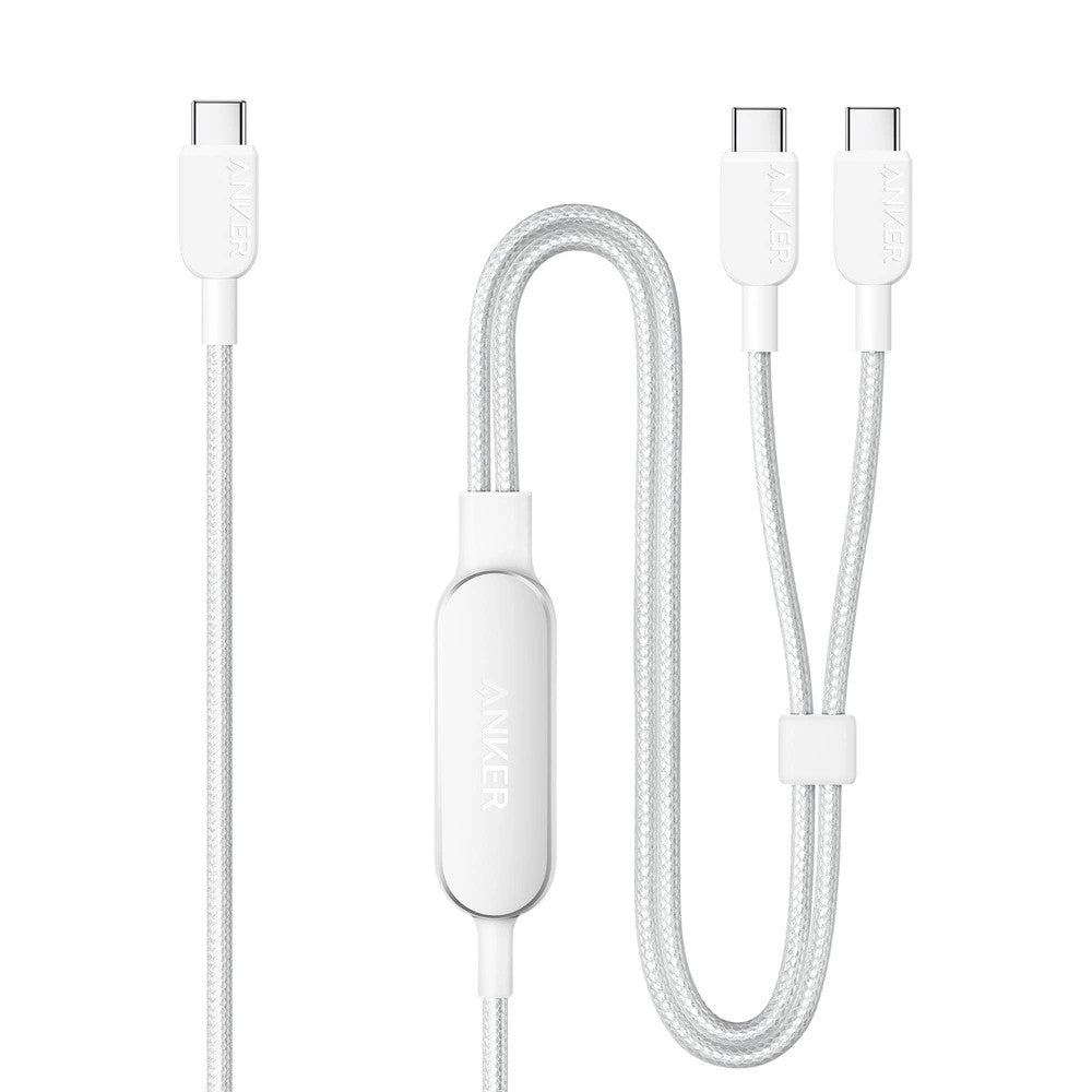 Anker 2 in 1 USB-C to USB-C Cable 4 ft. Color may vary