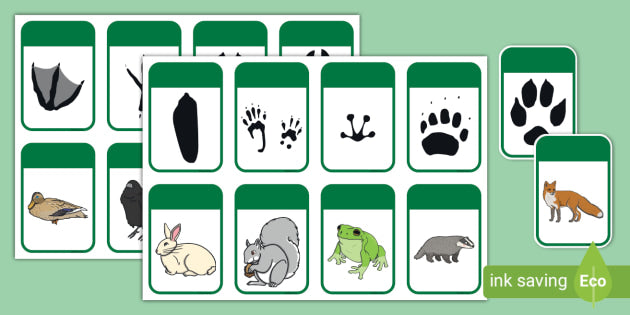 Little Trackers Match The Tracks Memory Game