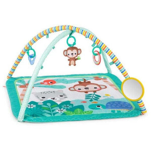 Bright Starts Palm Party Activity Gym